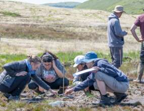 Surveying peatland with our volunteers