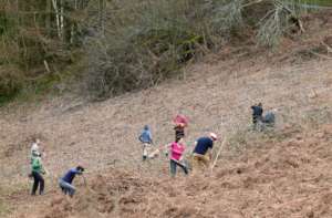 Volunteers planting trees
