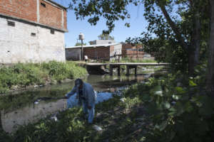 Picture of the bridge in 2018