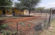 Ensuring Food Security for Children in Maasailand