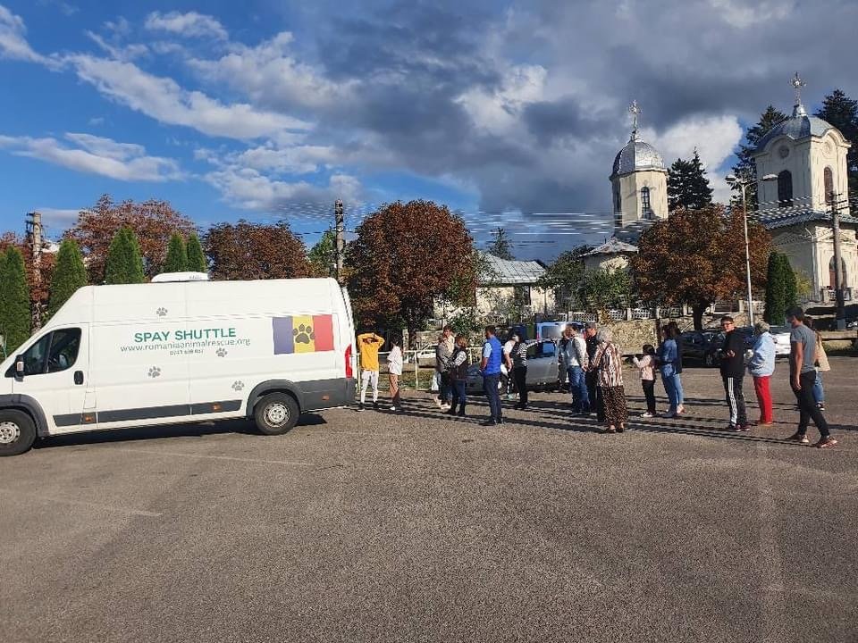 Spay and Neuters on Dogs/Cats in Bucharest