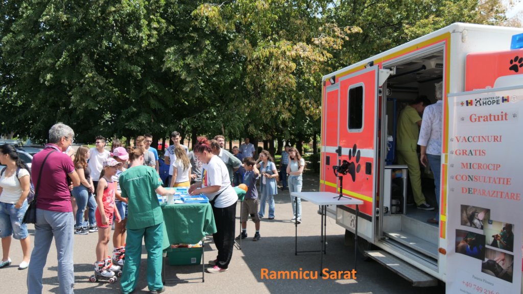 Spay and Neuters on Dogs/Cats in Bucharest