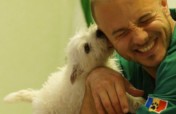 Spay and Neuters on Dogs/Cats in Bucharest