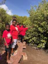 Learning about Mangroves at Southgate