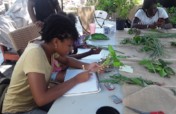 SEA Annual Summer Education Program