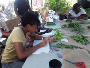 SEA Annual Summer Education Program