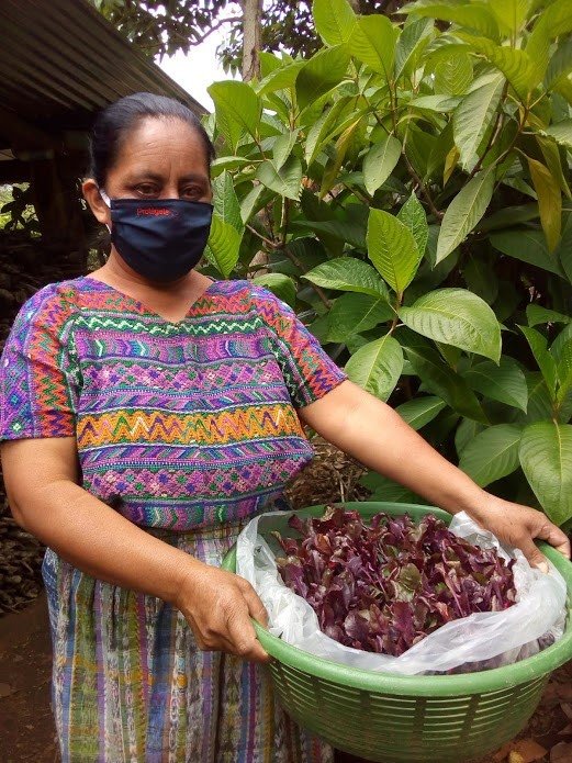 COVID-19 Relief: Guatemalan & Kenyan Communities