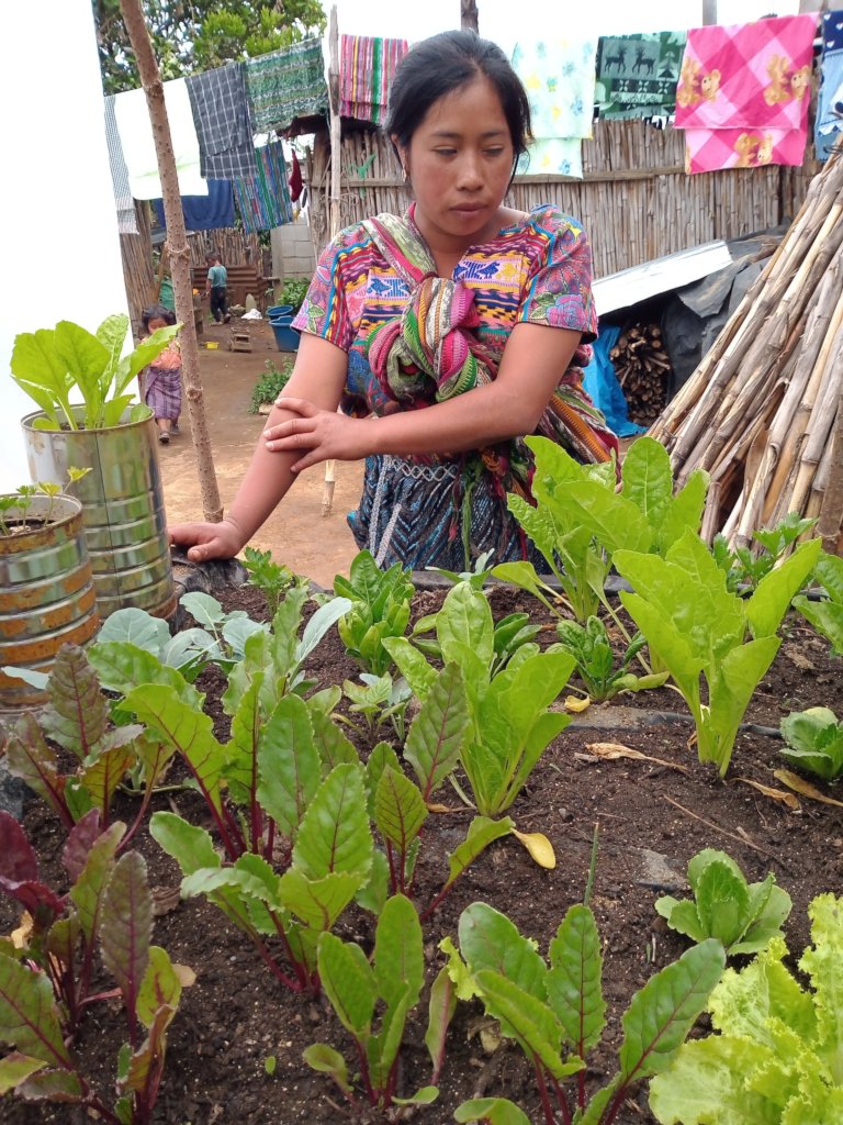 COVID-19 Relief: Guatemalan & Kenyan Communities