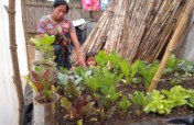 COVID-19 Relief: Guatemalan & Kenyan Communities