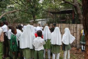Education workshop with local primary school