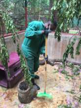 Animal care giver cleaning monkey enclosures
