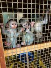 From Left Mbweni, Moshi, Mto