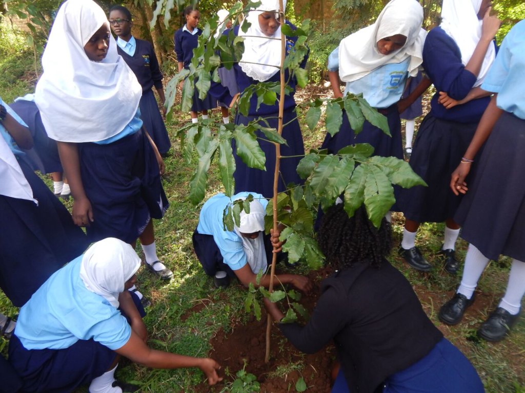 Help Save Primates and their Habitat