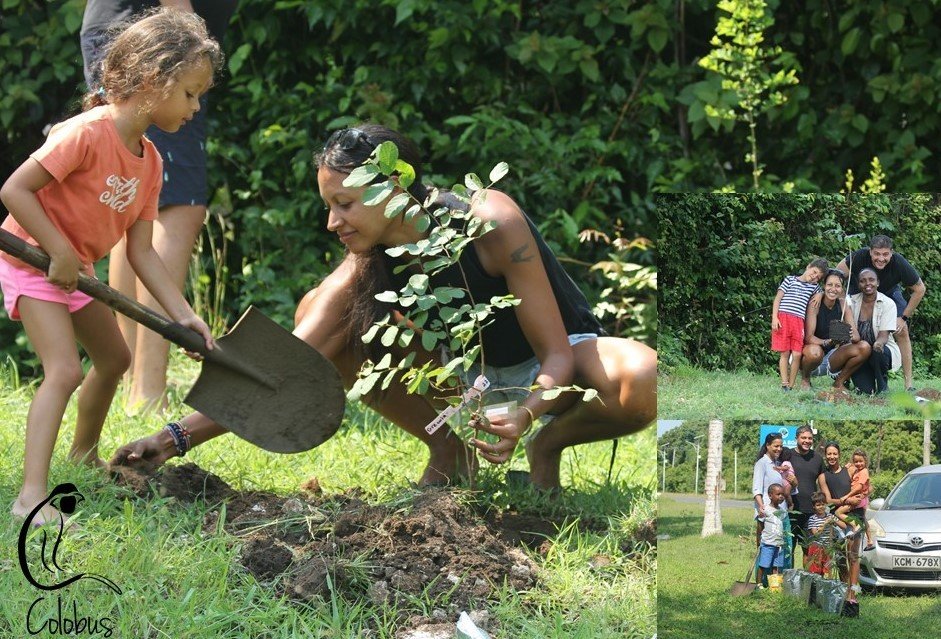 Tree planting with Community