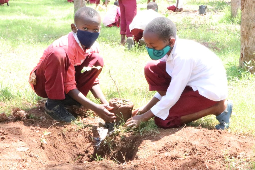 Tree Planting