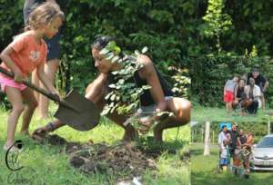 Tree planting with Community