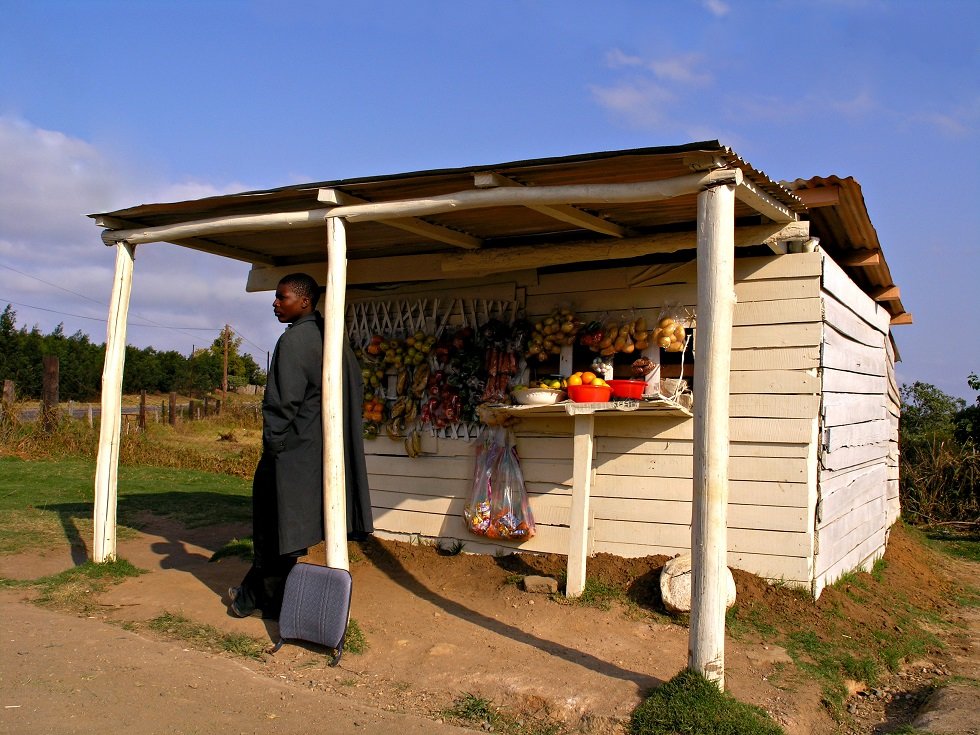 Help 1000 young entrepreneurs in Eswatini