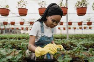 A young farmer