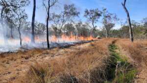 A controlled fire on the reserve