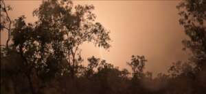 A tropical storm on the Wetlands