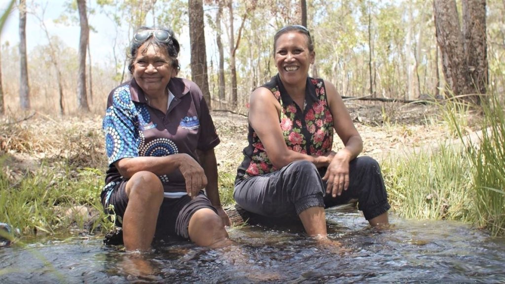 Protect Earth's last wildernesses, $5 per acre