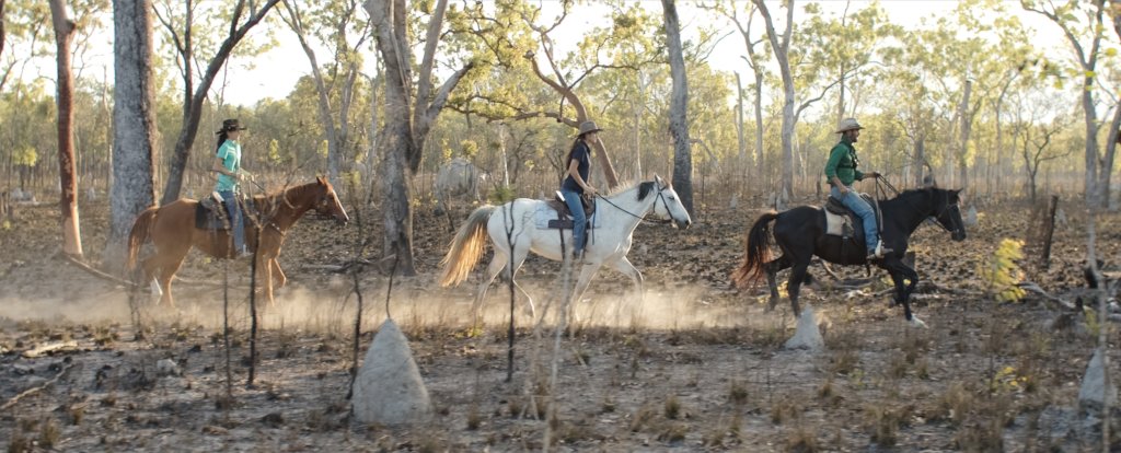 Protect Earth's last wildernesses, $5 per acre