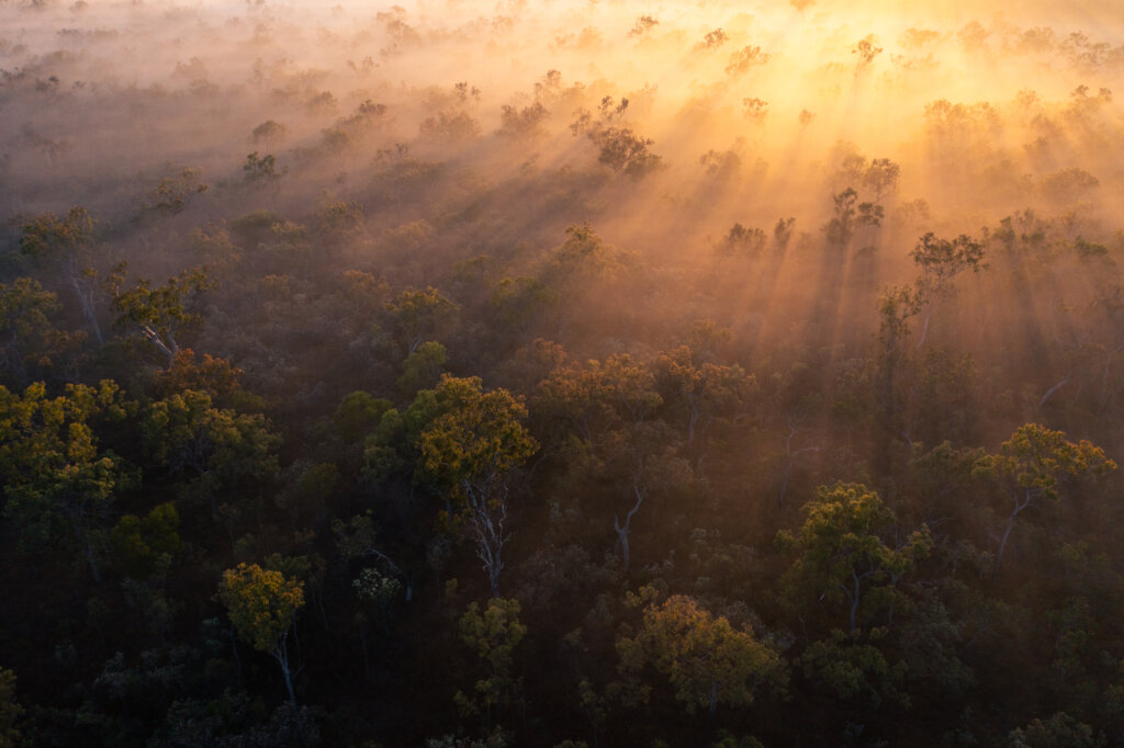 Cape York property, N Australia