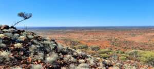 Western Deserts wilderness