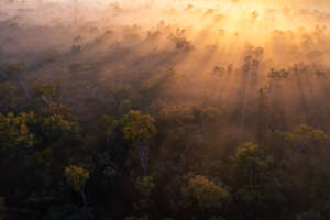 Cape York property, N Australia