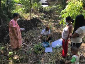 Vegetable growing inputs