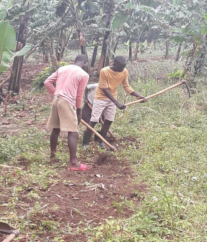 Give safe water to 82 Ugandan orphans