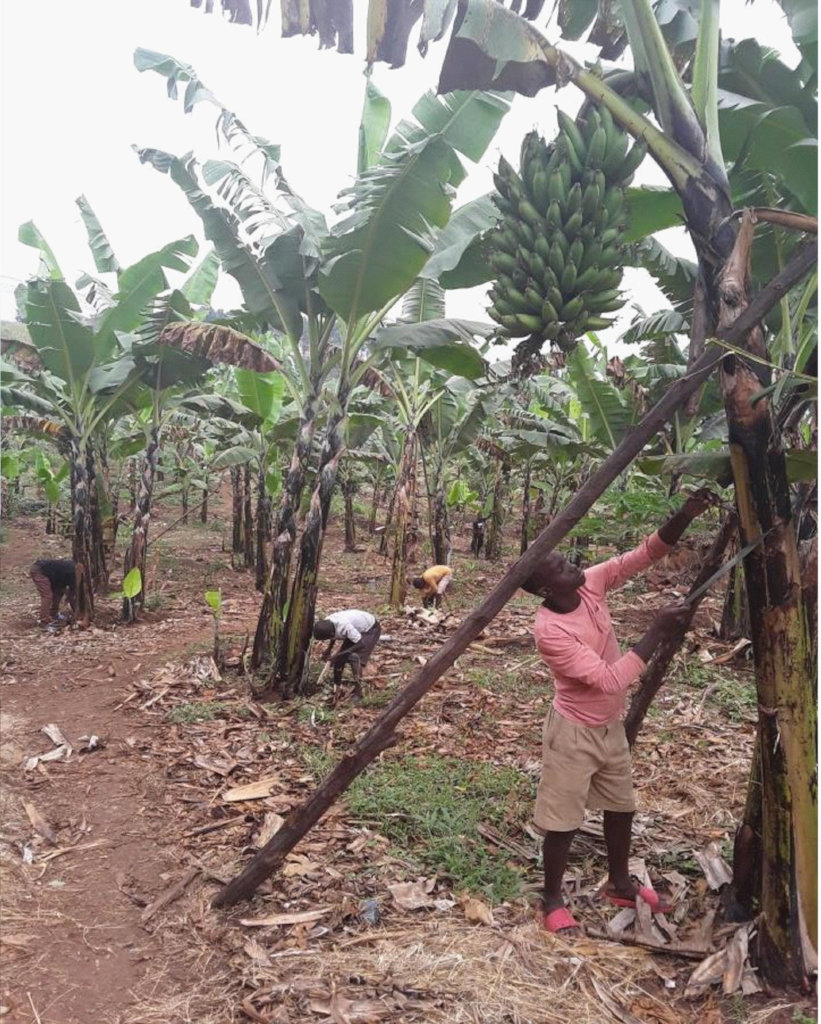 Give safe water to 82 Ugandan orphans