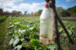 Red COMAL helped farmers recover after the storms
