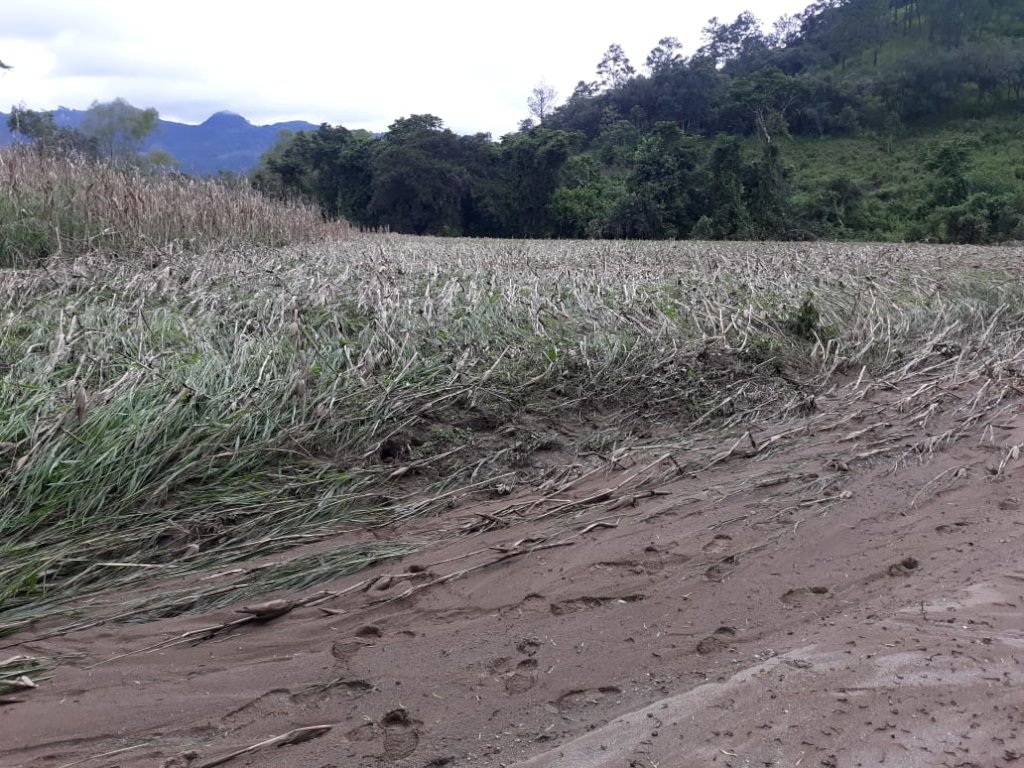 Hurricanes Eta & Iota Emergency Response: Honduras