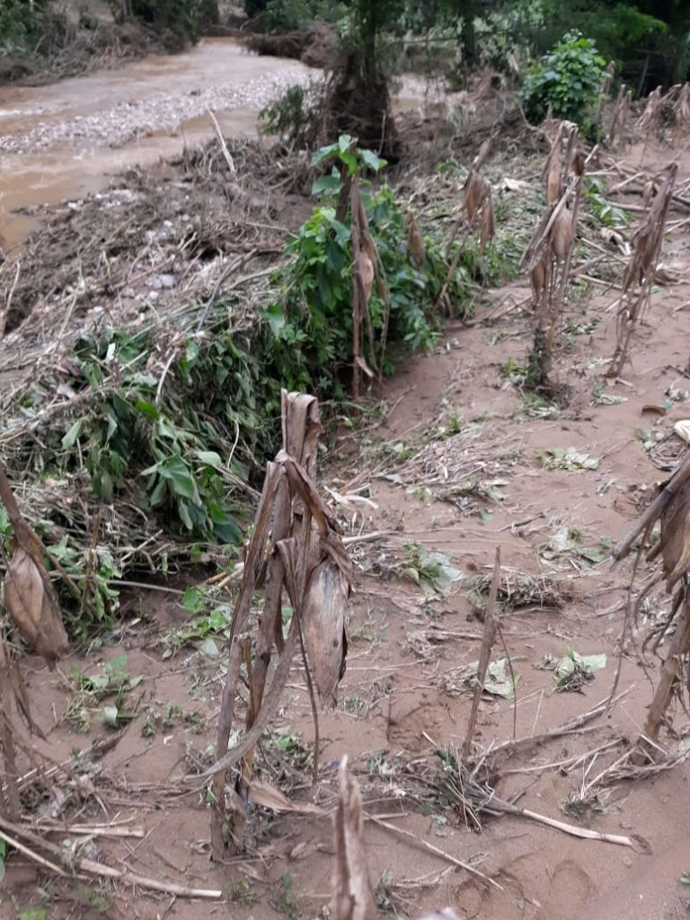 Hurricanes Eta & Iota Emergency Response: Honduras