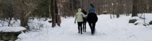 Yearlong Riding Lessons