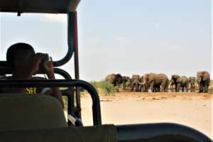 Close encounters with wildlife