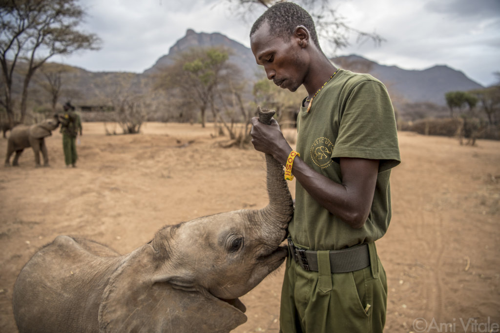 Help Kenya's Only Community-Run Elephant Sanctuary