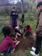 Children preparing the soil to put the seeds
