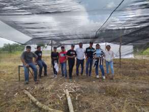 Culminando vivero
