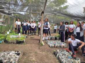 One of the first nurseries in the jungle.