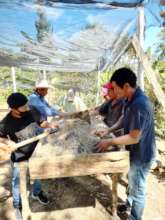 Preparing the mix for the germination