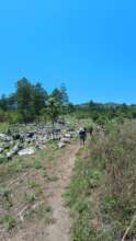 Between the cultivation