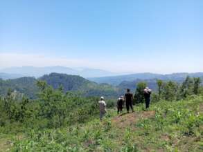 Between the cultivation