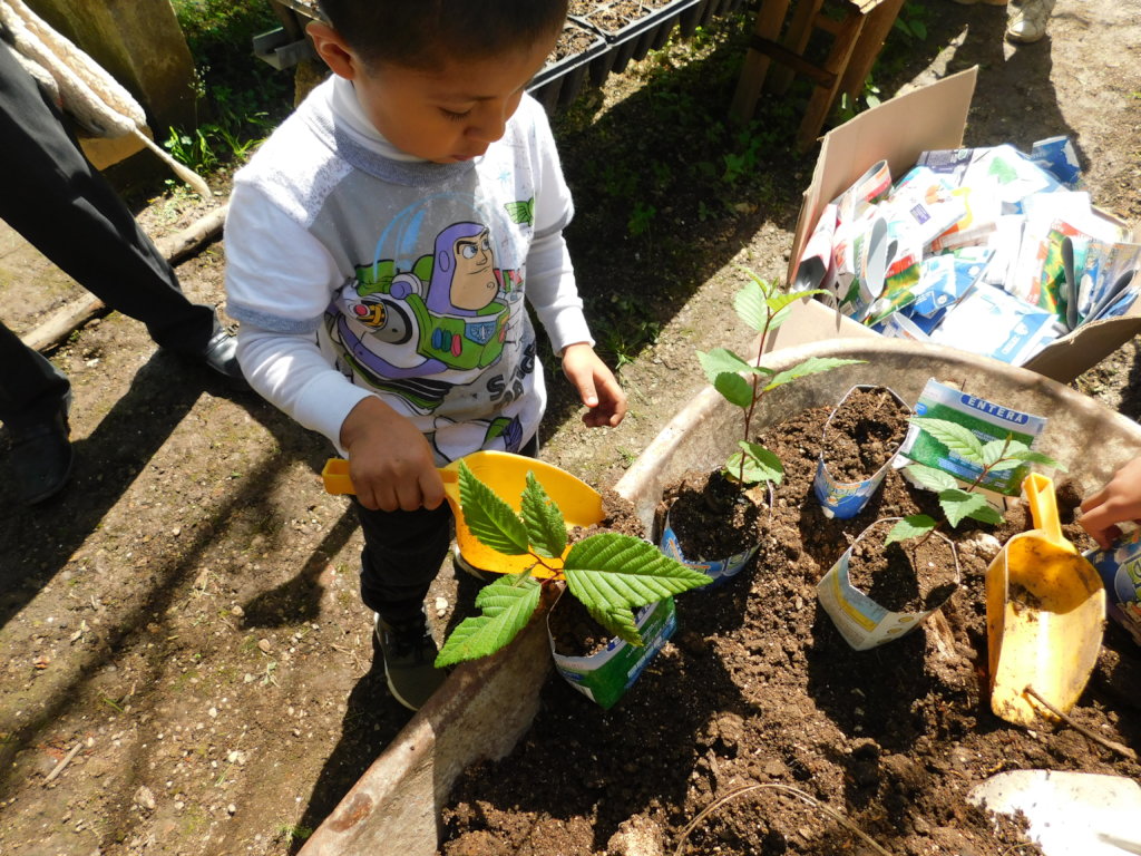 Teaching children in Chiapas how to grow forests