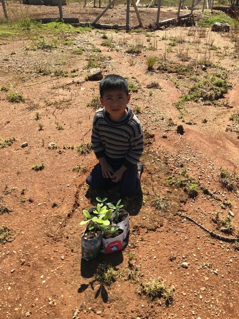 Teaching children in Chiapas how to grow forests