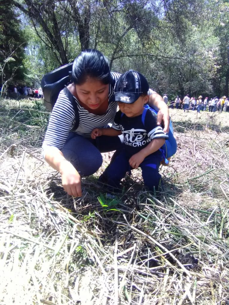Teaching children in Chiapas how to grow forests