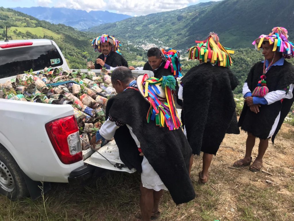 Teaching children in Chiapas how to grow forests