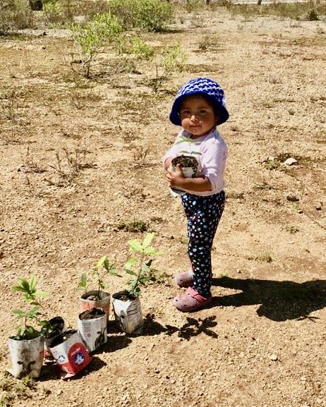 Teaching children in Chiapas how to grow forests