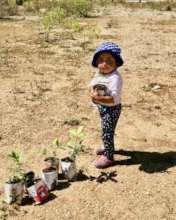 Teaching children in Chiapas how to grow forests